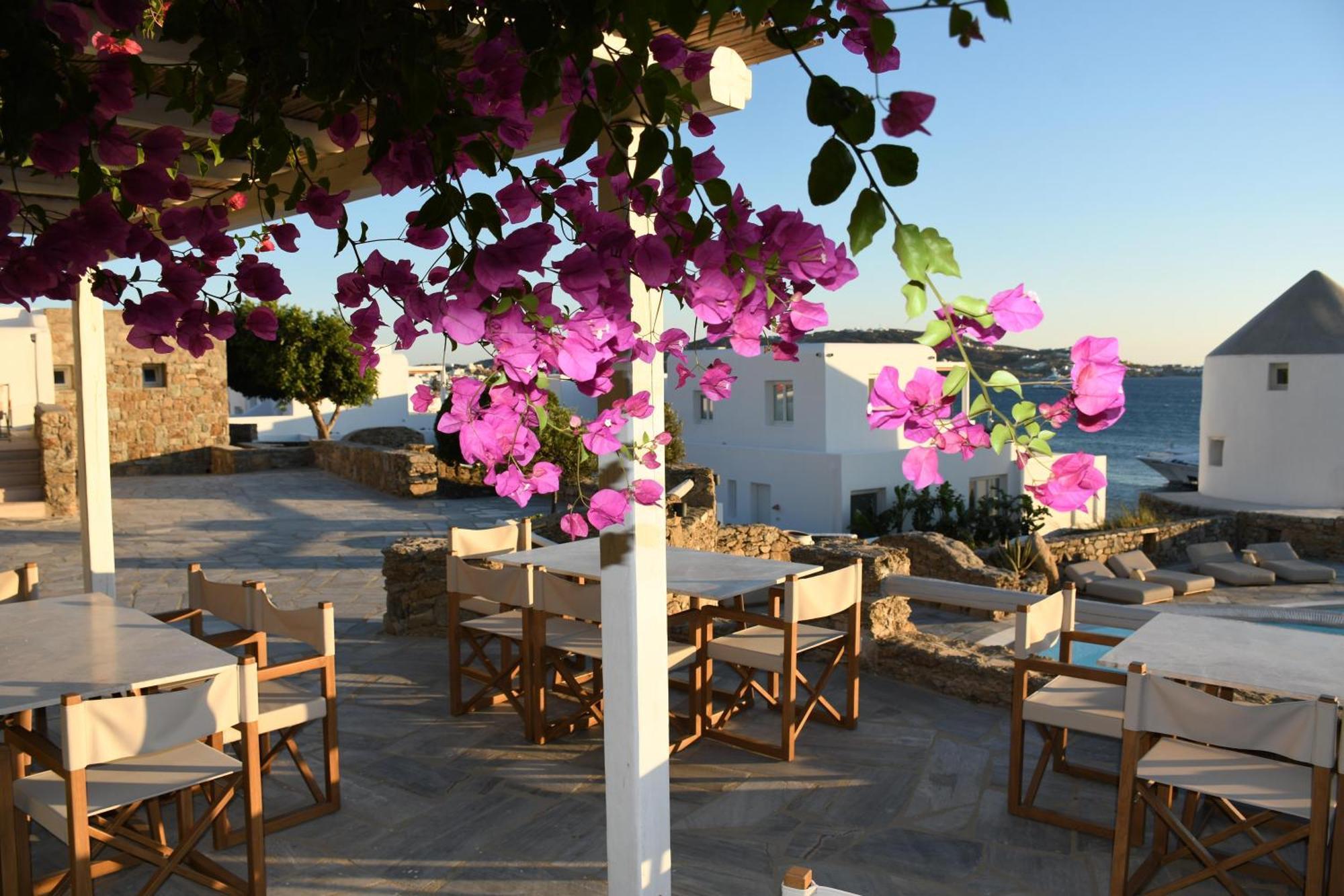 Hotel Porto Mykonos à Mykonos Town Extérieur photo